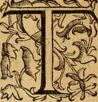 An illustration from Quaestiones definitae ex triplici philosophia : rationali, naturali, morali : in Parmensi Academia publicè triduum disputae (1613)