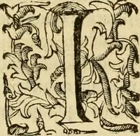 An illustration from Quaestiones definitae ex triplici philosophia : rationali, naturali, morali : in Parmensi Academia publicè triduum disputae (1613)