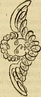 An illustration from Quaestiones definitae ex triplici philosophia : rationali, naturali, morali : in Parmensi Academia publicè triduum disputae (1613)