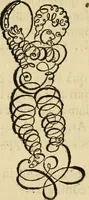 An illustration from Quaestiones definitae ex triplici philosophia : rationali, naturali, morali : in Parmensi Academia publicè triduum disputae (1613)