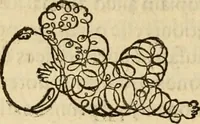 An illustration from Quaestiones definitae ex triplici philosophia : rationali, naturali, morali : in Parmensi Academia publicè triduum disputae (1613)