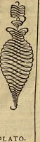 An illustration from Quaestiones definitae ex triplici philosophia : rationali, naturali, morali : in Parmensi Academia publicè triduum disputae (1613)