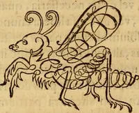 An illustration from Quaestiones definitae ex triplici philosophia : rationali, naturali, morali : in Parmensi Academia publicè triduum disputae (1613)