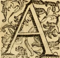 An illustration from Quaestiones definitae ex triplici philosophia : rationali, naturali, morali : in Parmensi Academia publicè triduum disputae (1613)