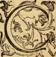 An illustration from Quaestiones definitae ex triplici philosophia : rationali, naturali, morali : in Parmensi Academia publicè triduum disputae (1613)