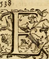 An illustration from Quaestiones definitae ex triplici philosophia : rationali, naturali, morali : in Parmensi Academia publicè triduum disputae (1613)