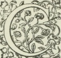 An illustration from Quaestiones quodlibetales (1639)