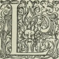 An illustration from Quaestiones quodlibetales (1639)
