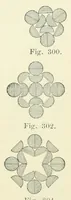 An illustration from Quarter century edition of The paradise of childhood. A practical guide to kindergartners (1896)