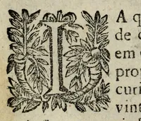 An illustration from Quatorze sermoens funeraes : em que se encerram, hum na manhã dos finados, cinco com nova traça nos anniversarios dos irmãos terceiros, cinco em differentes anniversarios com diversos titulos, hum na procissam dos ossos que faz a misericordia na tarde dos finados, & dous de exequias (1690)