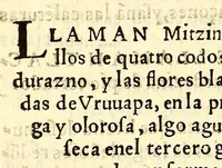 Picture 8 of 15 from Quatro libros. De la naturaleza, y virtudes de las plantas, y animales que estan receuidos en el vso de medicina en la Nueua España, y la methodo, y correccion, y preparacion, que para administrallas se requiere con lo que el doctor Francisco Hernandez escriuio en lengua latina. : Muy vtil para todo genero de gente q[ue] viue en esta[n]cias y pueblos, de no ay medicos, ni botica. (1615), leaf 158