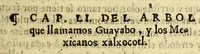 An illustration from Quatro libros. De la naturaleza, y virtudes de las plantas, y animales que estan receuidos en el vso de medicina en la Nueua España, y la methodo, y correccion, y preparacion, que para administrallas se requiere con lo que el doctor Francisco Hernandez escriuio en lengua latina. : Muy vtil para todo genero de gente q[ue] viue en esta[n]cias y pueblos, de no ay medicos, ni botica. (1615)