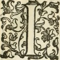 An illustration from I quattro libri dell'architettura di Andrea Palladio : ne' quali, dopò vn breue trattato de' cinque ordini, & di quelli auertimenti, che sono più necesarij nel fabricare : si tratta delle case private, delle vie, de i ponti, delle piazze, de i xisti, & de'tempij (1616)
