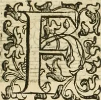 An illustration from I quattro libri dell'architettura di Andrea Palladio : ne' quali, dopò vn breue trattato de' cinque ordini, & di quelli auertimenti, che sono più necesarij nel fabricare : si tratta delle case private, delle vie, de i ponti, delle piazze, de i xisti, & de'tempij (1616)