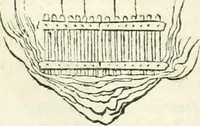 An illustration from I quattro libri dell'architettura di Andrea Palladio : ne' quali, dopò vn breue trattato de' cinque ordini, & di quelli auertimenti, che sono più necesarij nel fabricare : si tratta delle case private, delle vie, de i ponti, delle piazze, de i xisti, & de'tempij (1616)