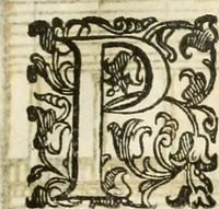 An illustration from I quattro libri dell'architettura di Andrea Palladio : ne' quali, dopò vn breue trattato de' cinque ordini, & di quelli auertimenti, che sono più necesarij nel fabricare : si tratta delle case private, delle vie, de i ponti, delle piazze, de i xisti, & de'tempij (1616)