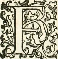 An illustration from I quattro libri dell'architettura di Andrea Palladio : ne' quali, dopò vn breue trattato de' cinque ordini, & di quelli auertimenti, che sono più necesarij nel fabricare : si tratta delle case private, delle vie, de i ponti, delle piazze, de i xisti, & de'tempij (1616)