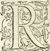 An illustration from I quattro libri dell'architettura di Andrea Palladio : ne' quali, dopò vn breue trattato de' cinque ordini, & di quelli auertimenti, che sono più necesarij nel fabricare : si tratta delle case private, delle vie, de i ponti, delle piazze, de i xisti, & de'tempij (1616)