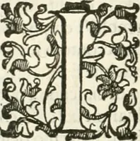 An illustration from I quattro libri dell'architettura di Andrea Palladio : ne' quali, dopò vn breue trattato de' cinque ordini, & di quelli auertimenti, che sono più necesarij nel fabricare : si tratta delle case private, delle vie, de i ponti, delle piazze, de i xisti, & de'tempij (1616)