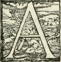 An illustration from I quattro libri dell'architettura di Andrea Palladio : ne' quali, dopò vn breue trattato de' cinque ordini, & di quelli auertimenti, che sono più necesarij nel fabricare : si tratta delle case private, delle vie, de i ponti, delle piazze, de i xisti, & de'tempij (1616)
