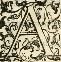 An illustration from I quattro libri dell'architettura di Andrea Palladio : ne' quali, dopò vn breue trattato de' cinque ordini, & di quelli auertimenti, che sono più necesarij nel fabricare : si tratta delle case private, delle vie, de i ponti, delle piazze, de i xisti, & de'tempij (1616)