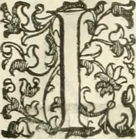 An illustration from I quattro libri dell'architettura di Andrea Palladio : ne' quali, dopò vn breue trattato de' cinque ordini, & di quelli auertimenti, che sono più necesarij nel fabricare : si tratta delle case private, delle vie, de i ponti, delle piazze, de i xisti, & de'tempij (1616)