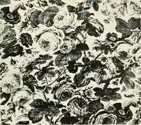 An illustration from The quest of the quaint (1916)