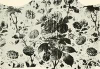 An illustration from The quest of the quaint (1916)