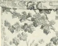 An illustration from The quest of the quaint (1916)