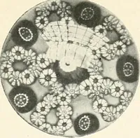 An illustration from The quest of the quaint (1916)