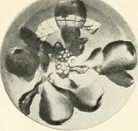 An illustration from The quest of the quaint (1916)