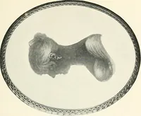 An illustration from The quest of the quaint (1916)
