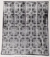 Picture 8 of 14 from Quilts, their story and how to make them (1915), leaf 182