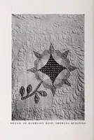 Picture 12 of 14 from Quilts, their story and how to make them (1915), leaf 236