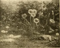 An illustration from Quincy Adams Shaw collection : Italian Renaissance sculpturee : paintings and pastels by Jean François Millet : exhibition opening April 18, 1918 (1918)