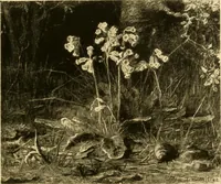 An illustration from Quincy Adams Shaw collection : Italian Renaissance sculpturee : paintings and pastels by Jean François Millet : exhibition opening April 18, 1918 (1918)