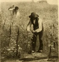 An illustration from Quincy Adams Shaw collection : Italian Renaissance sculpturee : paintings and pastels by Jean François Millet : exhibition opening April 18, 1918 (1918)