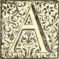An illustration from Quinquagena symbolica, in praecipua capita, et dogmata sacrae regulae SS. monachorum patris & legislatoris Benedicti, omnium justorum spiritu pleni : tanquam vera effigies reverendissimi perillustris ac amplissimi domini, domini Chrysostomi ... : inter ipsa sacerdotij Jubilei solemnia die 23. Julij orbi exhibita ab eXVLtantIbVs DeVotIs LILIgerI greMII sVI fILIIs : inseritur Conspectus edendorum fastorum campililiensium (1741)