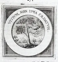 An illustration from Quinquagena symbolorum heroica, in praecipua capita et dogmata S. regulae sanctissimi monachorum patris et legislatoris Benedicti, omnium justorum spiritu pleni : ad recolligendum animum horis succisivis concepta, et exegesibus brevibus metrico-prosaicis asceticis illustrata (1741)