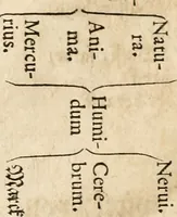 An illustration from Quinta essentia, das ist, Die höchste Subtilitet, Krafft vnd Wirckung, beyder der fürtrefflichsten, vnd menschlichem Geschlecht am nützlichsten Künsten, der Medicin vnd Alchemy : auch wie nahe diese beyde mit Sipschafft gefreund vnd verwandt sind, vnd das eine ohn beystandt der andern nicht nütz sey, oder in den menschlichen Cörpern zu wircken kein Krafft habe : Vergleichung der alten und newen Medicin, vnd wie alle Subtiliteten ausgezogen, die Element geschieden, alle Corpora gemutirt ... : jetzt von newem, sampt Eröffnung der vertunckelten Sententz, Wort vnd Namen, gemehret vnd gebessert (1574)