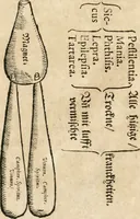 Picture 16 of 26 from Quinta essentia, das ist, Die höchste Subtilitet, Krafft vnd Wirckung, beyder der fürtrefflichsten, vnd menschlichem Geschlecht am nützlichsten Künsten, der Medicin vnd Alchemy : auch wie nahe diese beyde mit Sipschafft gefreund vnd verwandt sind, vnd das eine ohn beystandt der andern nicht nütz sey, oder in den menschlichen Cörpern zu wircken kein Krafft habe : Vergleichung der alten und newen Medicin, vnd wie alle Subtiliteten ausgezogen, die Element geschieden, alle Corpora gemutirt ... : jetzt von newem, sampt Eröffnung der vertunckelten Sententz, Wort vnd Namen, gemehret vnd gebessert (1574), leaf 121