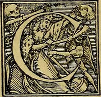 An illustration from Quinti Sereni Sammonici poetae De re medica siue morborum curationibus liber tum elegans tum humanae saluti perquàm utilis, & diligenter emendatus : item Gabrielis Humelbergii ... in Q. Sereni librum medicinalem, commentarij (1540)