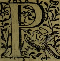 An illustration from Quinze tratados : en los quales se contienen muchas y muy excelentes consideraciones para los actos generales que se celebran en la sancta iglesia de Dios, muy provechosos para todos los fieles christianos (1602)