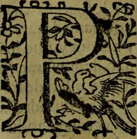 Picture 12 of 30 from Quinze tratados : en los quales se contienen muchas y muy excelentes consideraciones para los actos generales que se celebran en la sancta iglesia de Dios, muy provechosos para todos los fieles christianos (1602), leaf 217