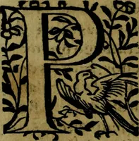 Picture 19 of 30 from Quinze tratados : en los quales se contienen muchas y muy excelentes consideraciones para los actos generales que se celebran en la sancta iglesia de Dios, muy provechosos para todos los fieles christianos (1602), leaf 453
