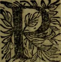 An illustration from Quinze tratados : en los quales se contienen muchas y muy excelentes consideraciones para los actos generales que se celebran en la sancta iglesia de Dios, muy provechosos para todos los fieles christianos (1602)
