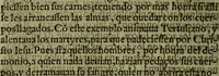 An illustration from Quinze tratados : en los quales se contienen muchas y muy excelentes consideraciones para los actos generales que se celebran en la sancta iglesia de Dios, muy provechosos para todos los fieles christianos (1602)