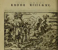 Picture 103 of 281 from Qvadrins historiqves de la Bible (1558), leaf 111