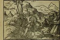 An illustration from Qvadrins historiqves de la Bible (1558)