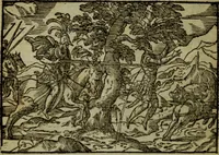 An illustration from Qvadrins historiqves de la Bible (1558)
